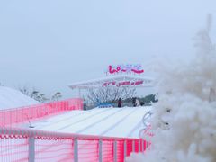 -盈香心动乐园