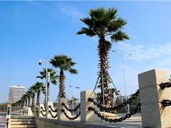 -宝安西湾红树林湿地公园