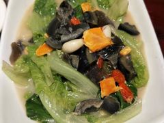 -金龙寨(解西店)