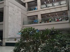 -青岛市图书馆