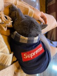 -青木造型HAIR·あおき髪を刈る潮人店