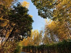 -天目湖涵田度假村