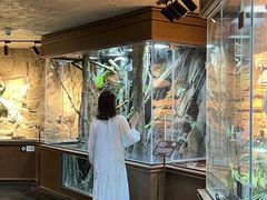 -帕帕拉兹宠物(亚洲旗舰店)