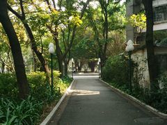 -星海公园(番禺区)