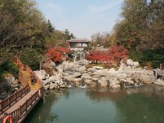 -大明寺素食坊(扬子江中路店)