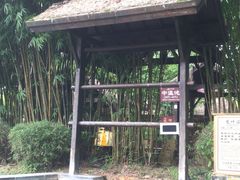 -崇阳三特浪口温泉