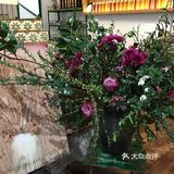 椿里画展