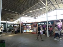 -亚龙湾国际玫瑰谷