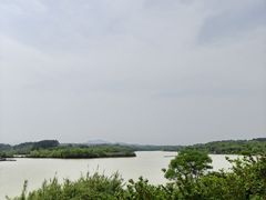 -杏花村文化旅游区
