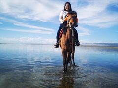 -青海湖国家重点风景名胜区