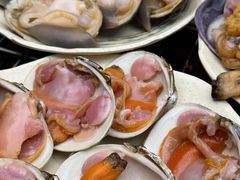 -震海贝烤贝·民俗特色店(延吉总店)