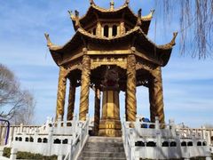 -东方巨龟苑景区