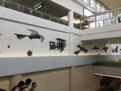 -厦门高崎国际机场-T3航站楼