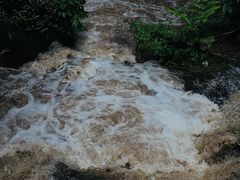 -莫里热带雨林景区