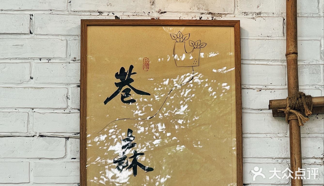 莎拉来啦｜网红戴家巷▪️来巷森撸猫呀🐱