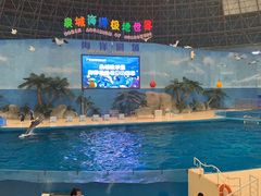 -泉城欧乐堡海洋极地世界