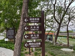 -阳台山自然风景区