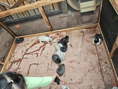 -长鹿旅游休博园