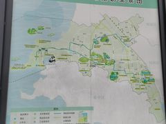-西京湾花海