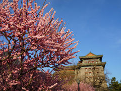 -北京明城墙遗址公园