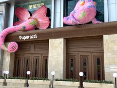 -帕帕拉兹宠物(亚洲旗舰店)