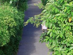 -华侨城湿地公园