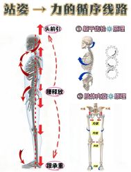 -产后帮产后修复(首城国际店)
