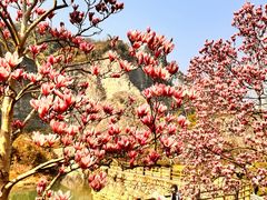 -铜锣山矿山公园