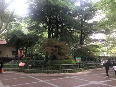 -华山儿童公园