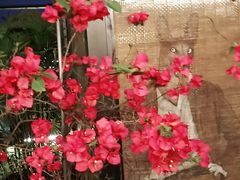 -冰冰龙虾·江湖菜·花园江景餐厅