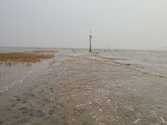 android_upload_pic-南汇嘴观海公园