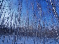 -北极村旅游风景区