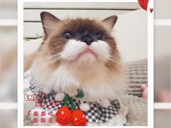 -联合动物医院(光谷诊疗中心)