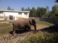 -西安秦岭野生动物园