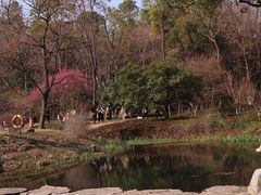 -杭州植物园