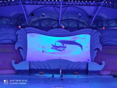 -横店影视城梦幻谷园区