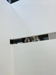 -CHIC 国潮男士发型