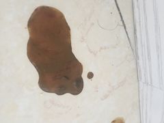 -申普宠物医院·心脏介入·心血管微创(总院)
