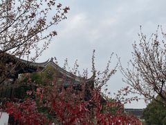 -盘门景区