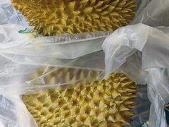 金枕头榴莲-鲜力达果品批发直销(青山店)