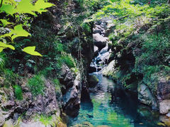 -大奇山国家森林公园