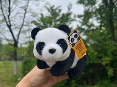 -安吉竹博园