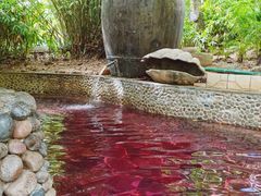 -三亚珠江南田温泉度假区