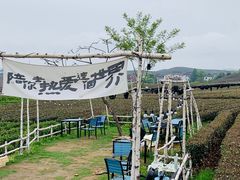 -龙坞茶村