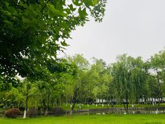 -中央公园(苏州工业园区)
