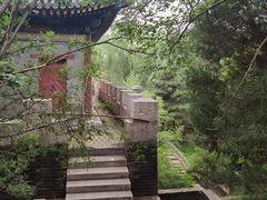 -云岗森林公园
