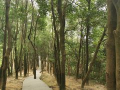 -火炉山森林公园