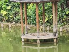 -香山湖公园