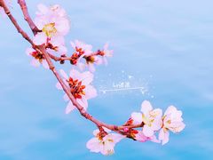 -颐和园