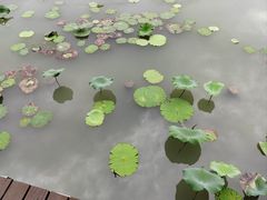 -南北湖风景区